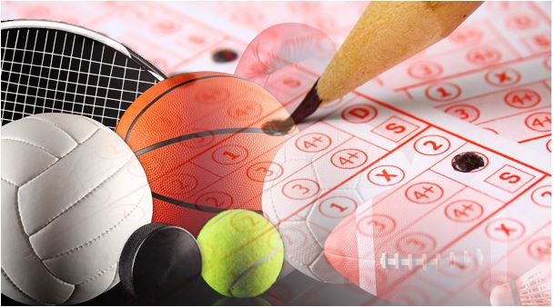 Top 5 sites de paris sportifs en Afrique du Sud, vous pouvez faire confiance