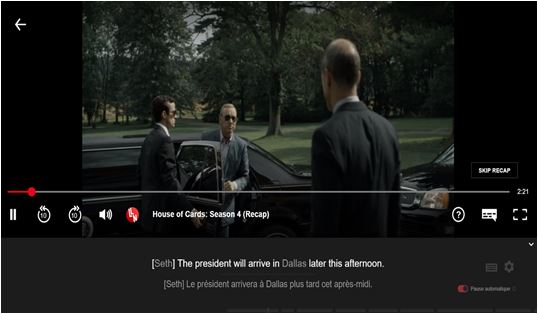 LLN un plugin pour apprendre une langue en regardant Netflix