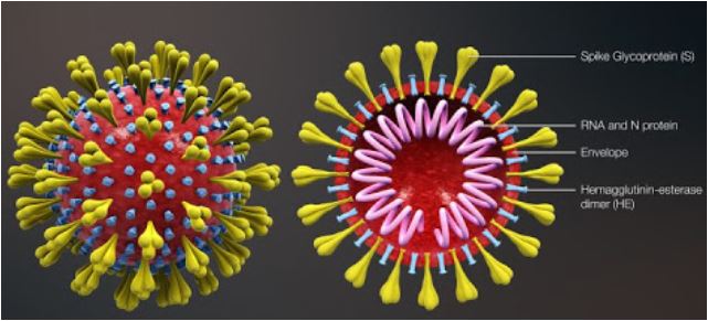 COVID-19 Google parmi d'autres sociétés Internet américaines, ignorera les factures impayées pendant 2 mois