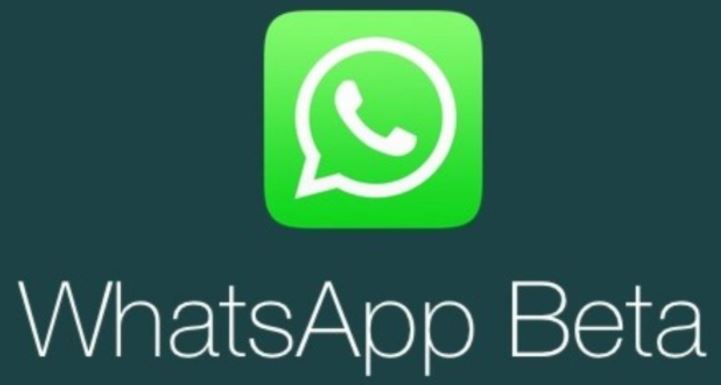 WhatsApp est maintenant disponible pour Windows, comment télécharger